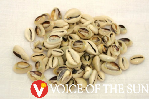 Cowry shells Used By Igbo As Money | Voice Of The Sun